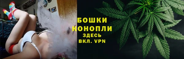 ALPHA-PVP Новозыбков