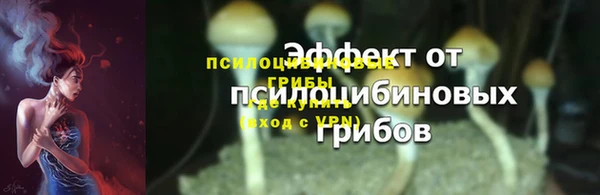 ALPHA-PVP Новозыбков