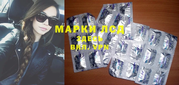 ALPHA-PVP Новозыбков