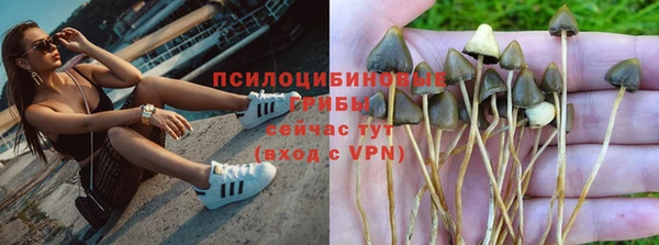 ALPHA-PVP Новозыбков