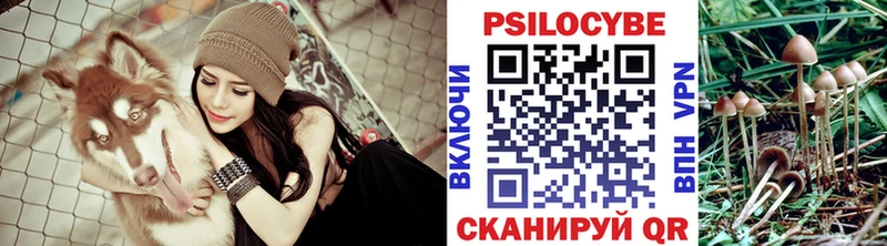 Галлюциногенные грибы ЛСД  купить  сайты  Борисоглебск 
